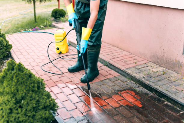 Best House Pressure Washing  in Morris, MN
