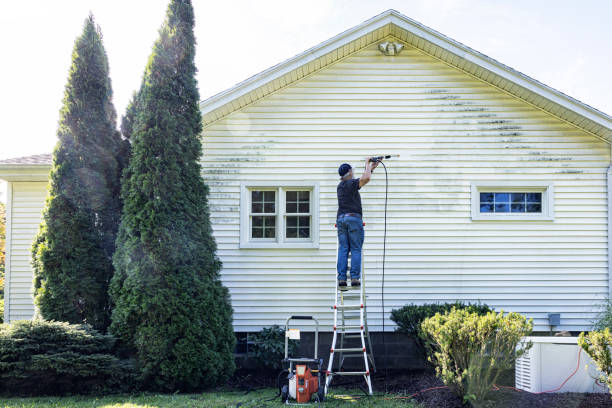 Best Pressure Washing Driveway  in Morris, MN