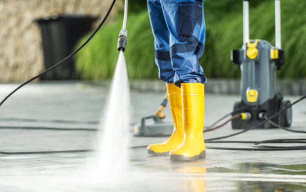 Best Roof Pressure Washing  in Morris, MN