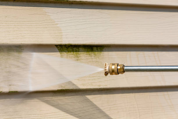 Best Exterior Home Cleaning  in Morris, MN